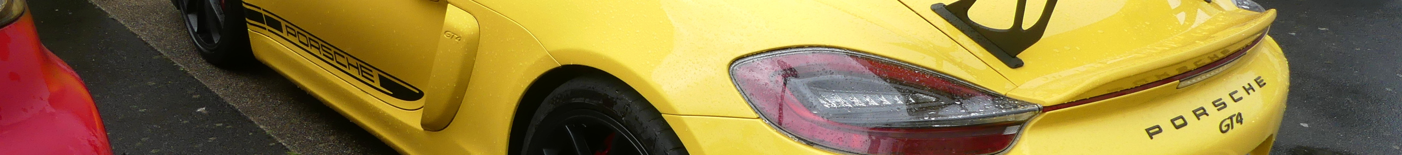 Porsche 981 Cayman GT4