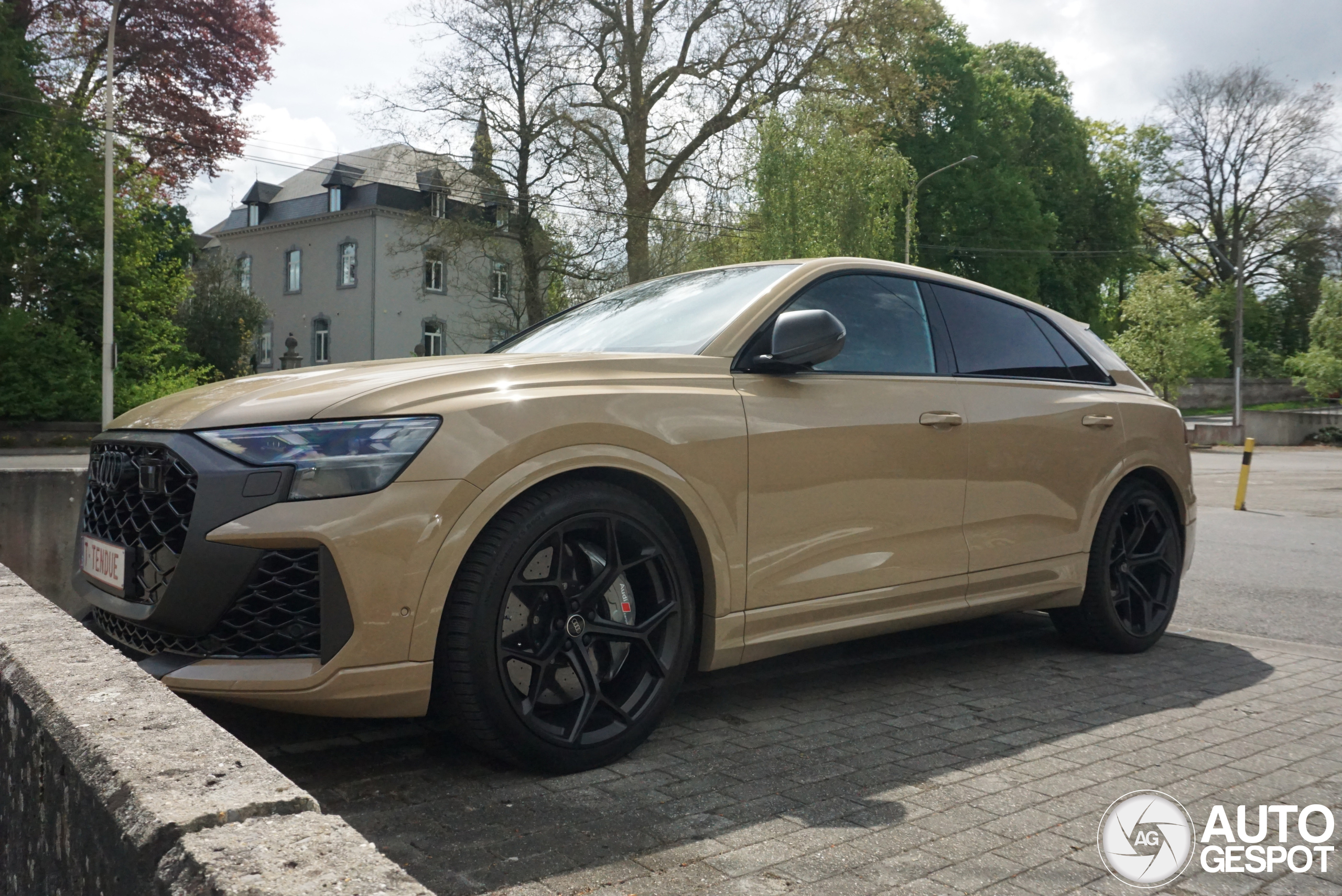 Audi RS Q8 2024