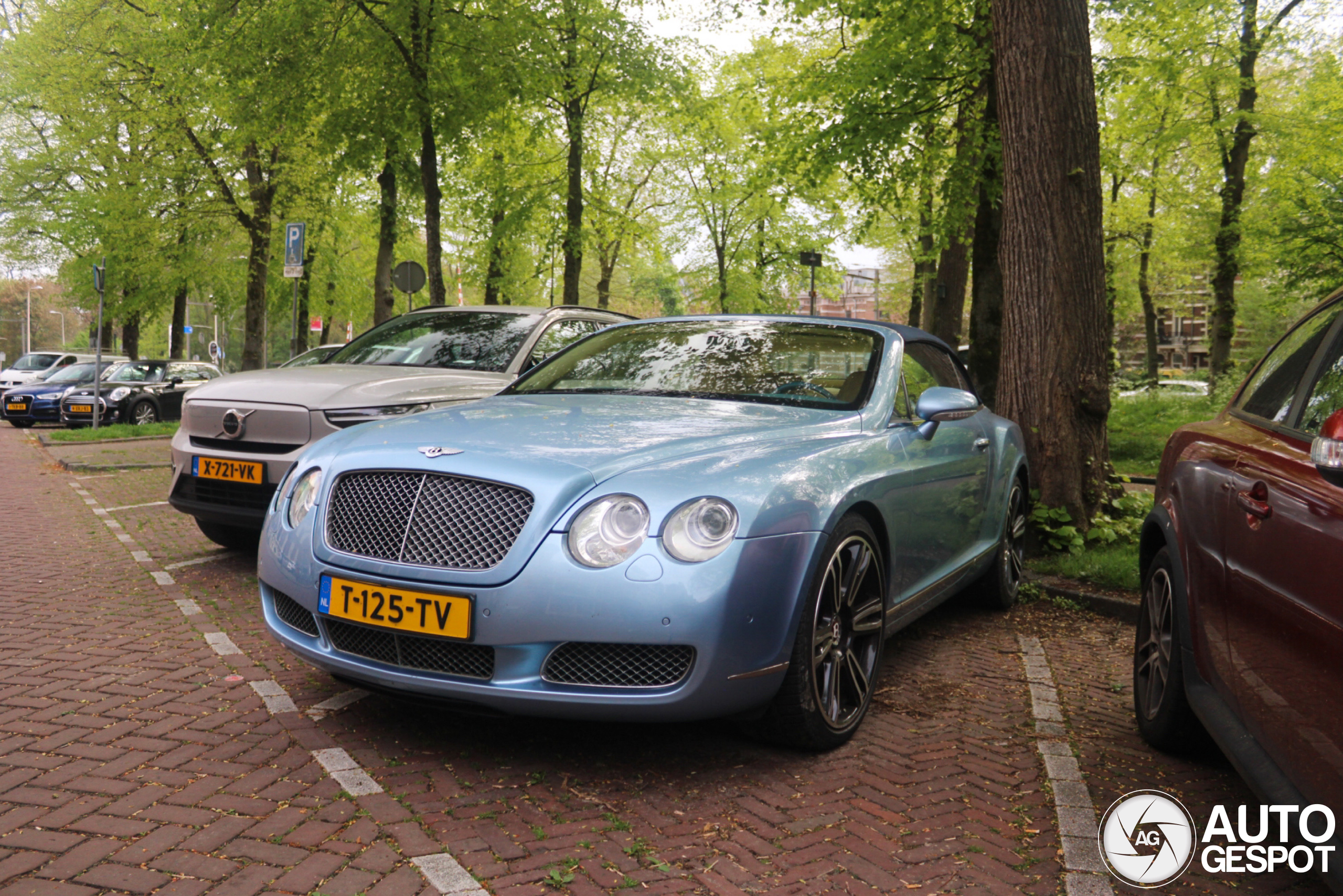 Bentley Continental GTC