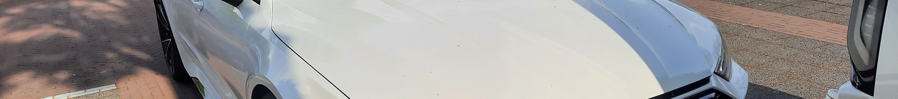 Audi RS7 Sportback C8