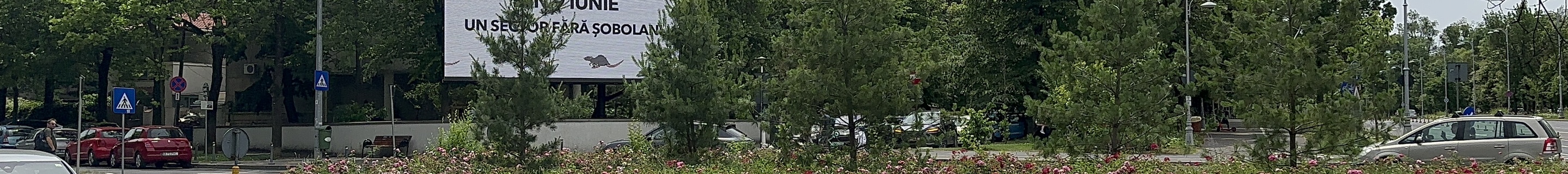 Ferrari Portofino M