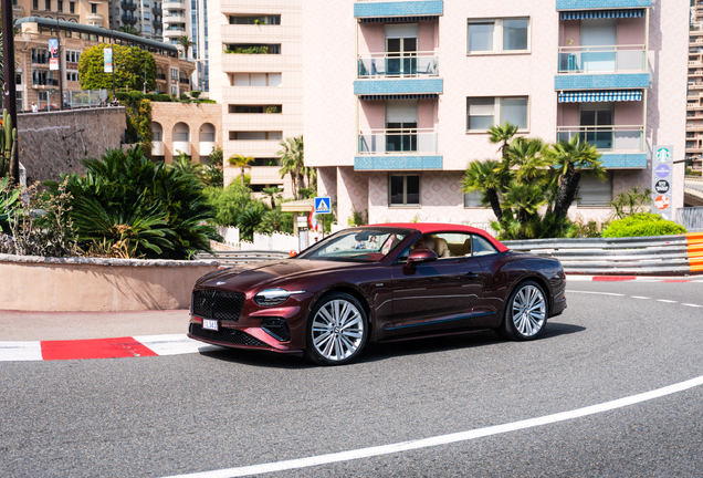 Bentley Continental GTC Speed 2025 First Edition