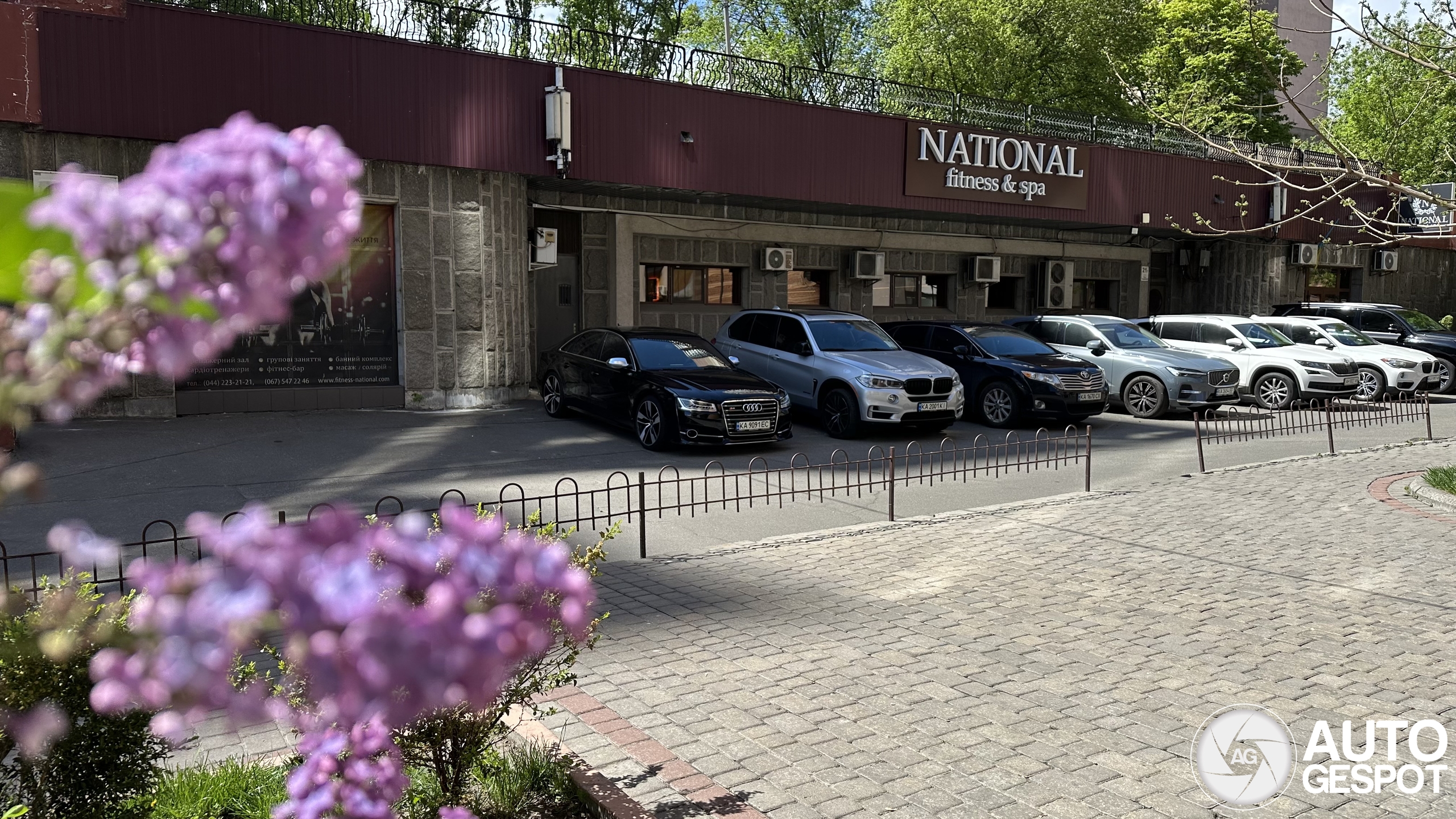 Audi S8 D4 Plus