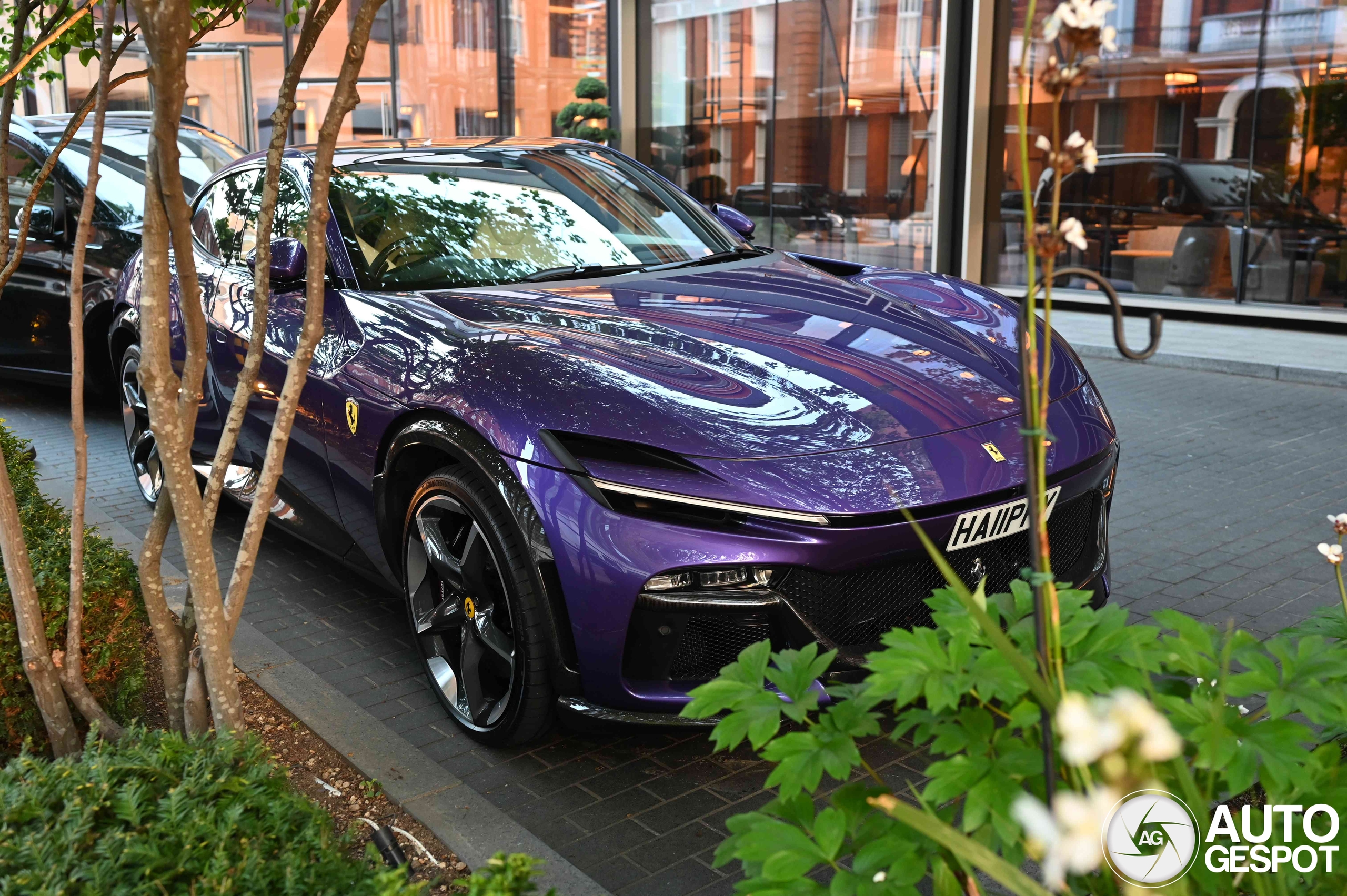 Ferrari Purosangue