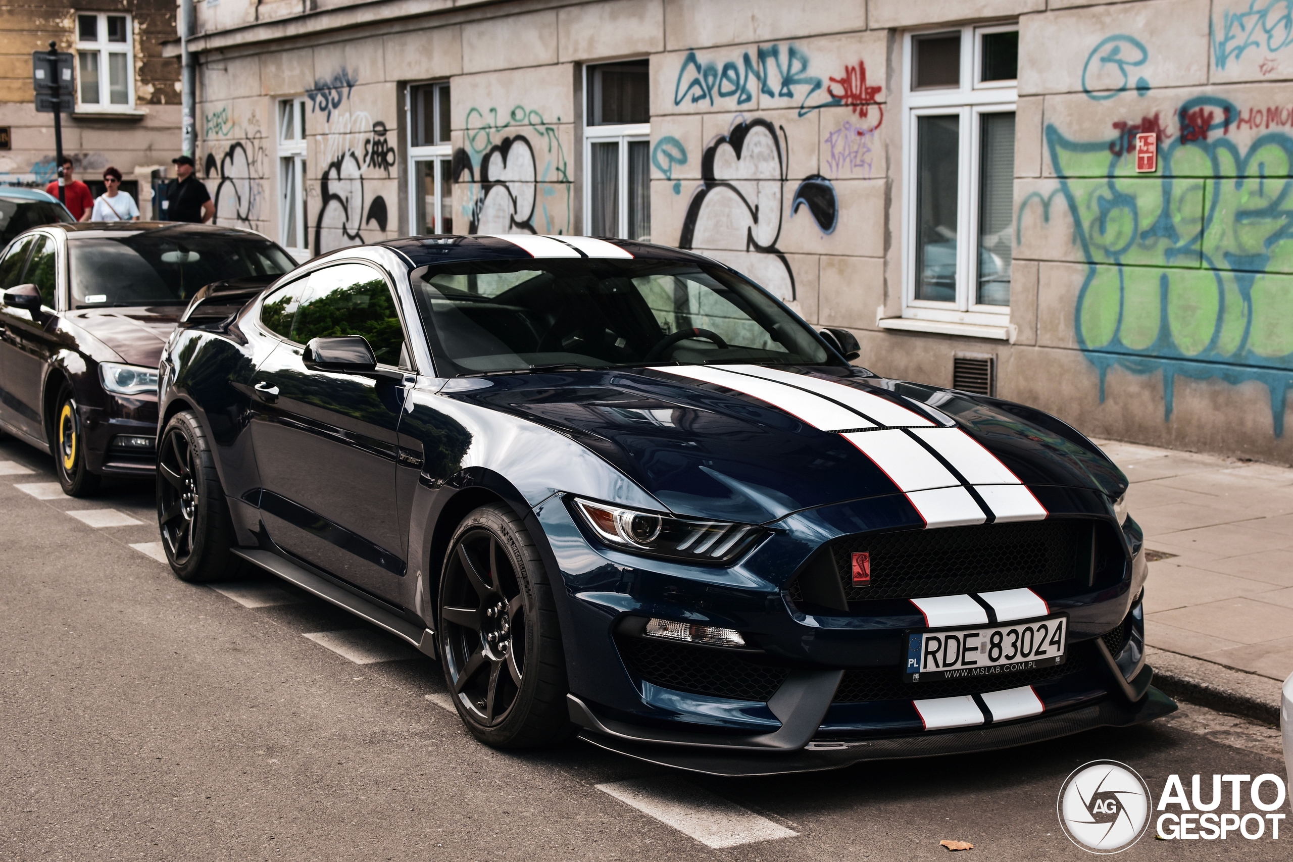 Ford Mustang Shelby GT350R 2015