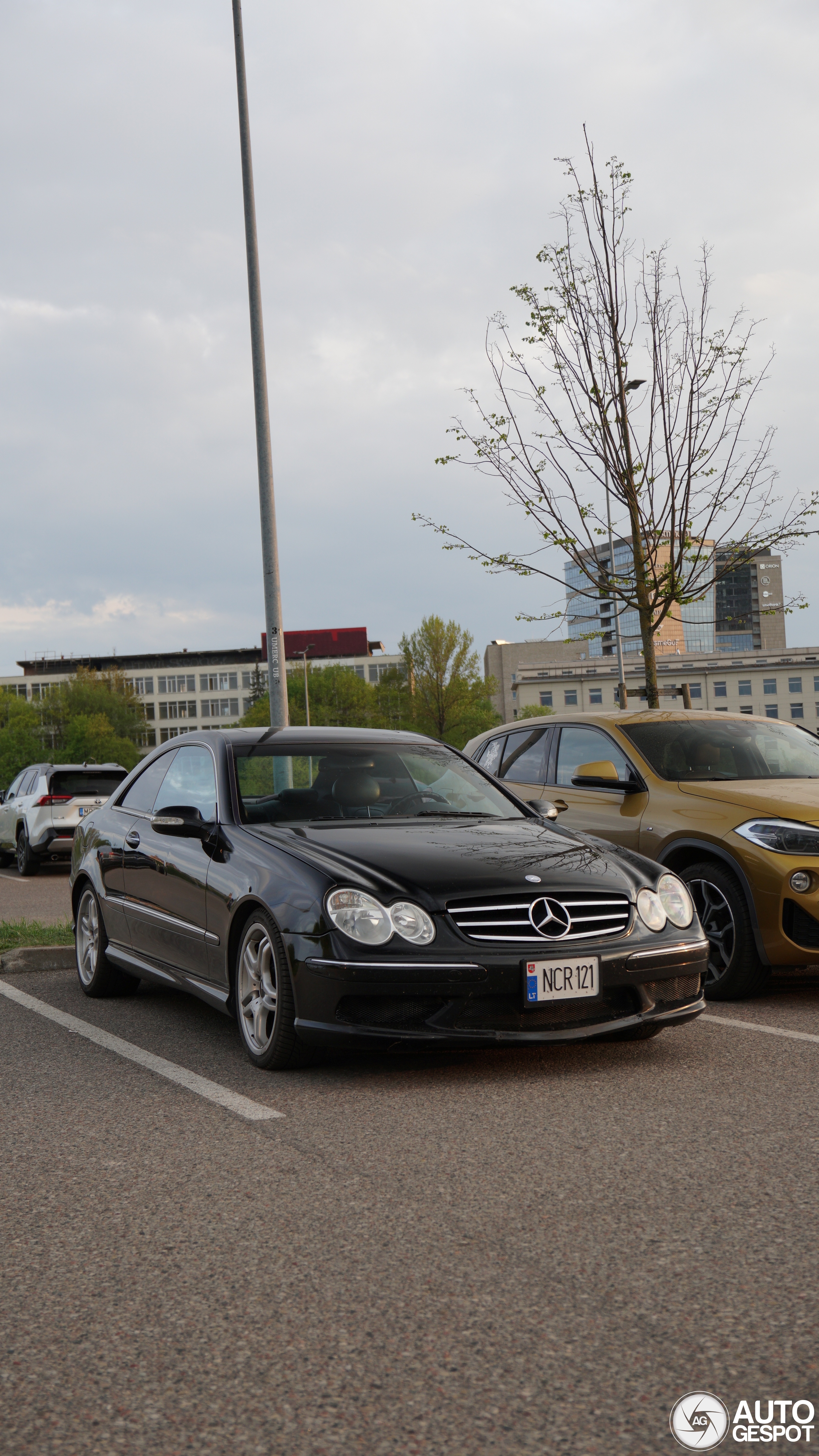 Mercedes-Benz CLK 55 AMG