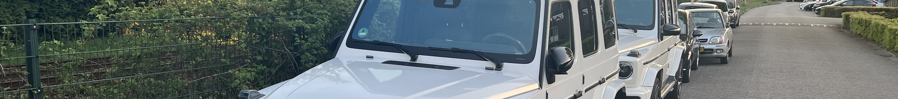 Mercedes-AMG G 63 W463 2018