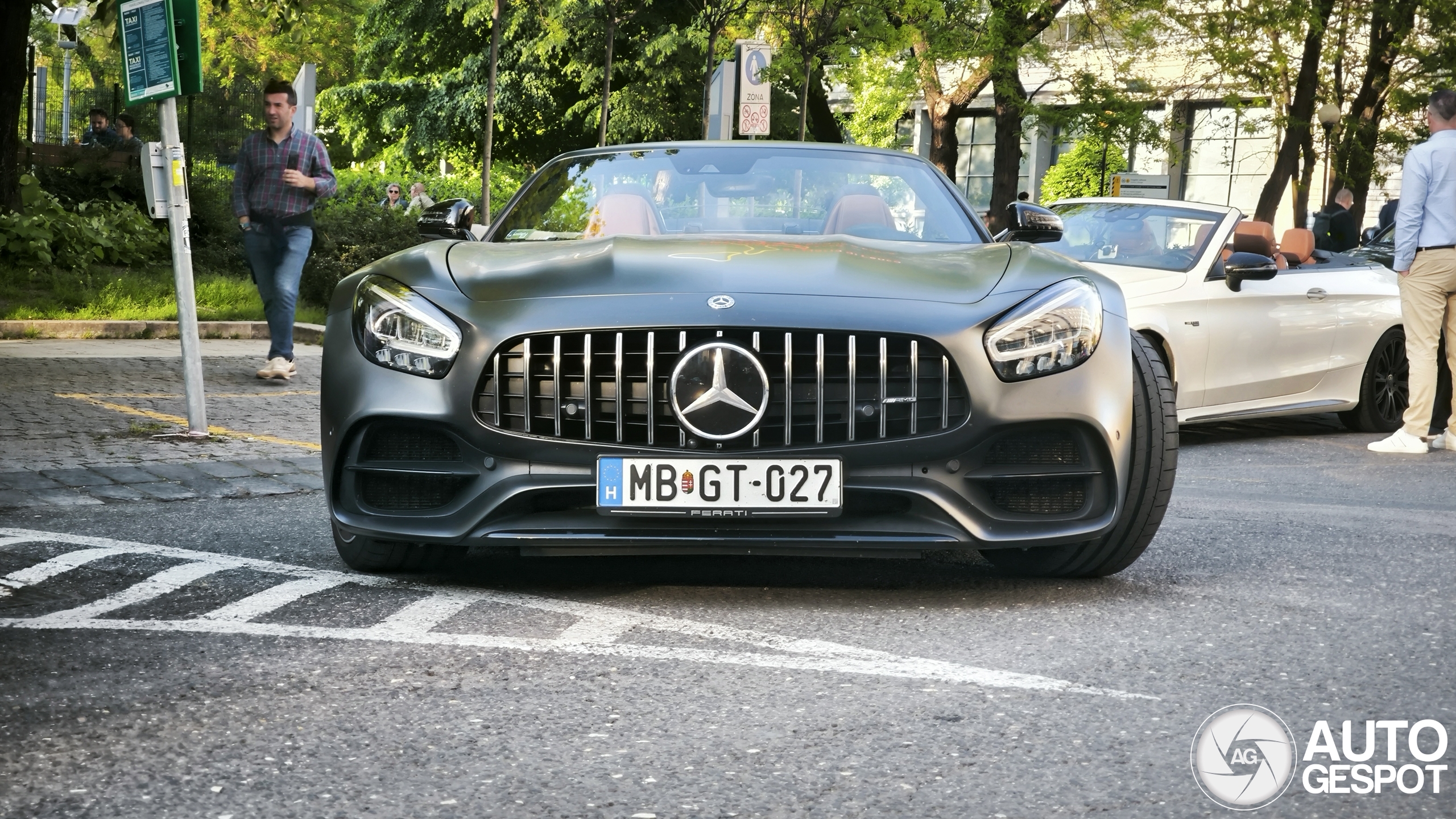 Mercedes-AMG GT C Roadster R190 2019