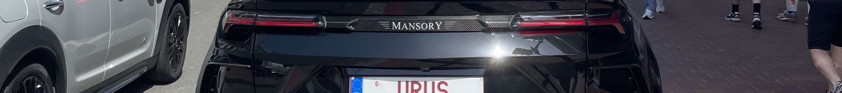 Lamborghini Urus Mansory Venatus