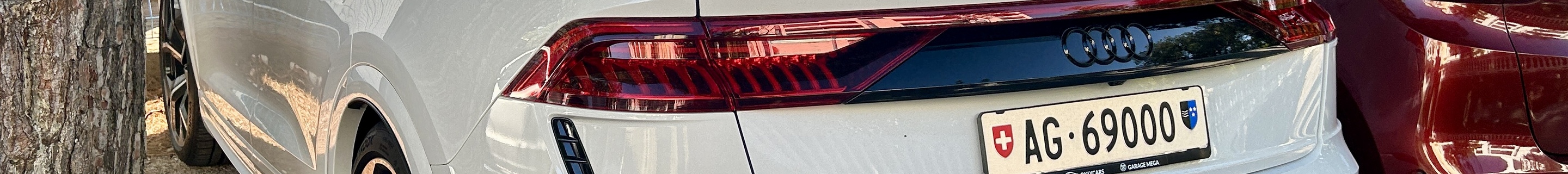 Audi RS Q8