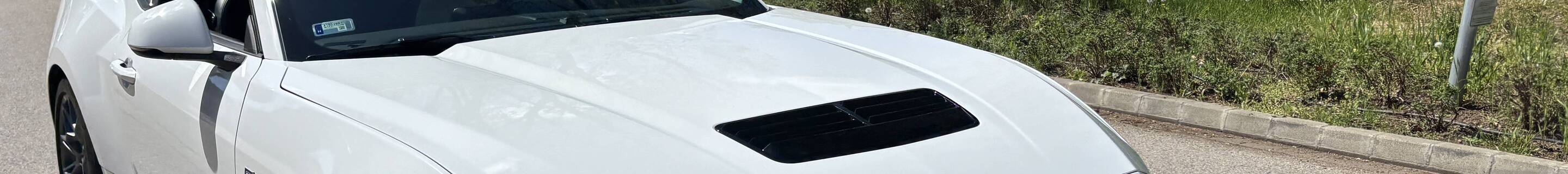 Ford Mustang GT 2024