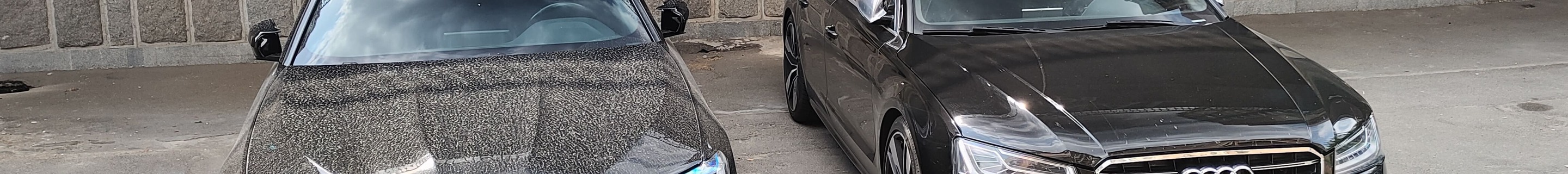 Audi S8 D4 Plus
