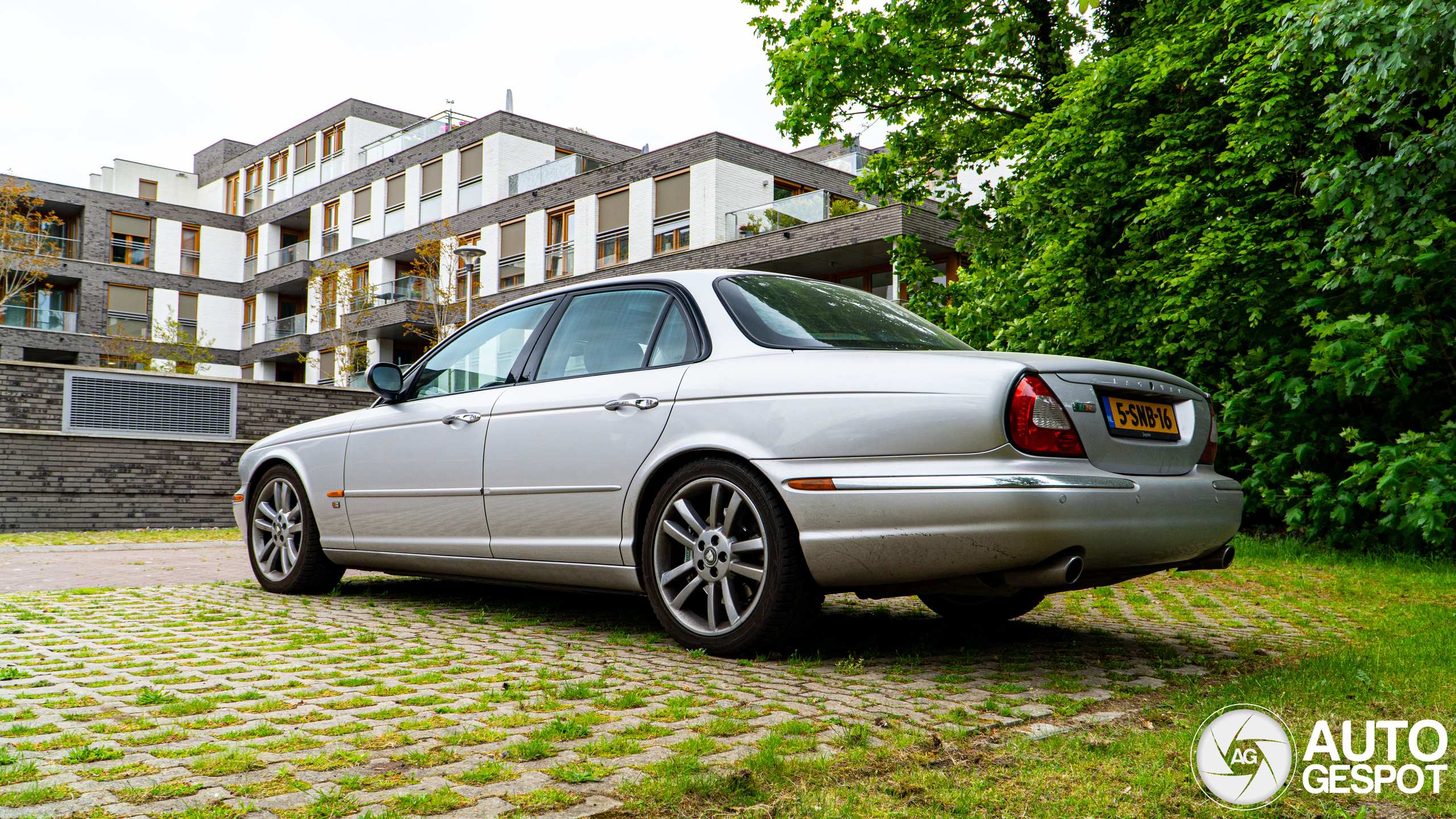 Jaguar XJR