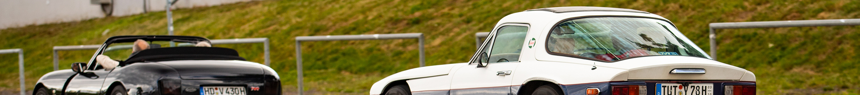 TVR 3000 Taimar