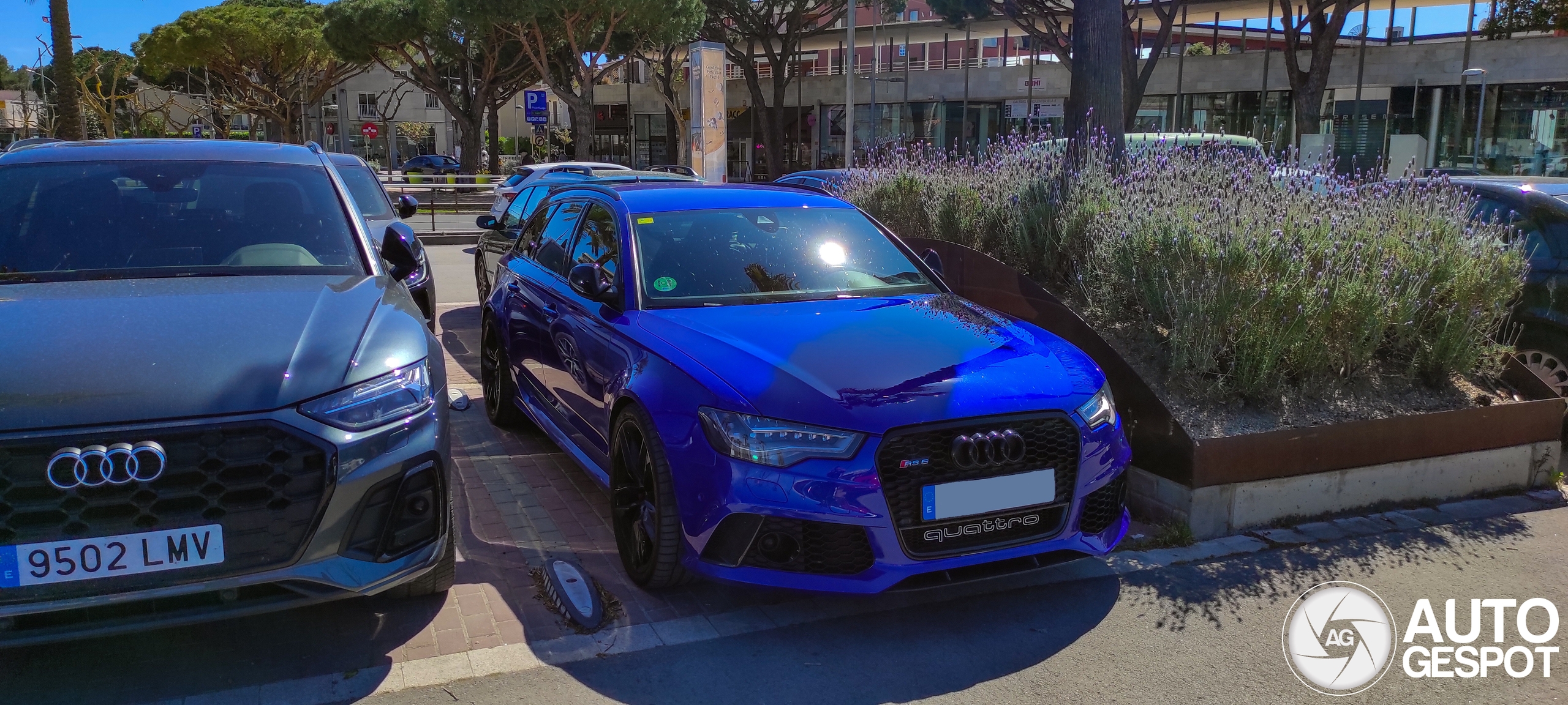 Audi RS6 Avant C7