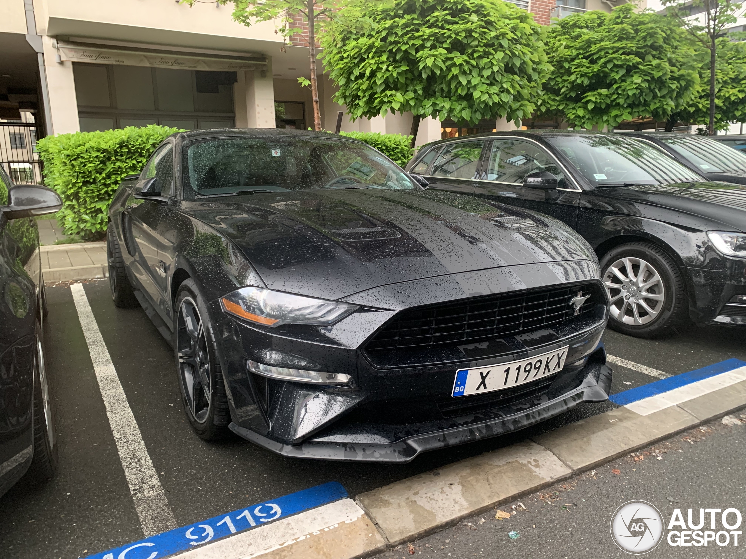 Ford Mustang GT California Special 2018