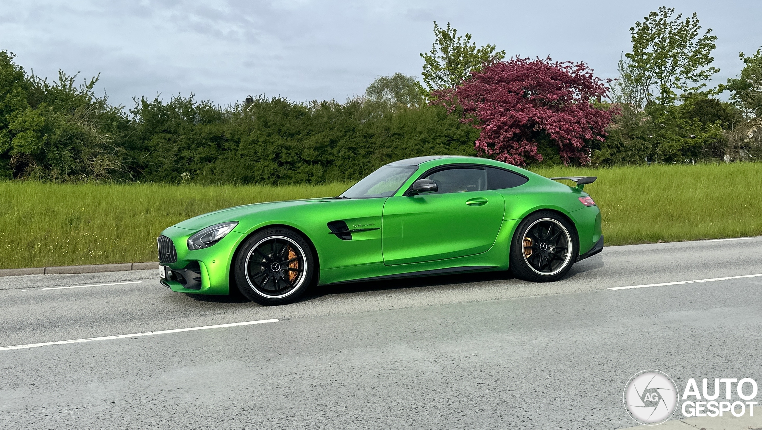 Mercedes-AMG GT R C190