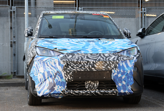BYD Dolphin Mini