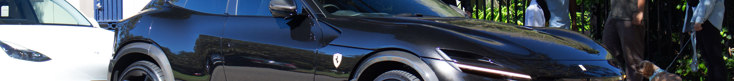 Ferrari Purosangue