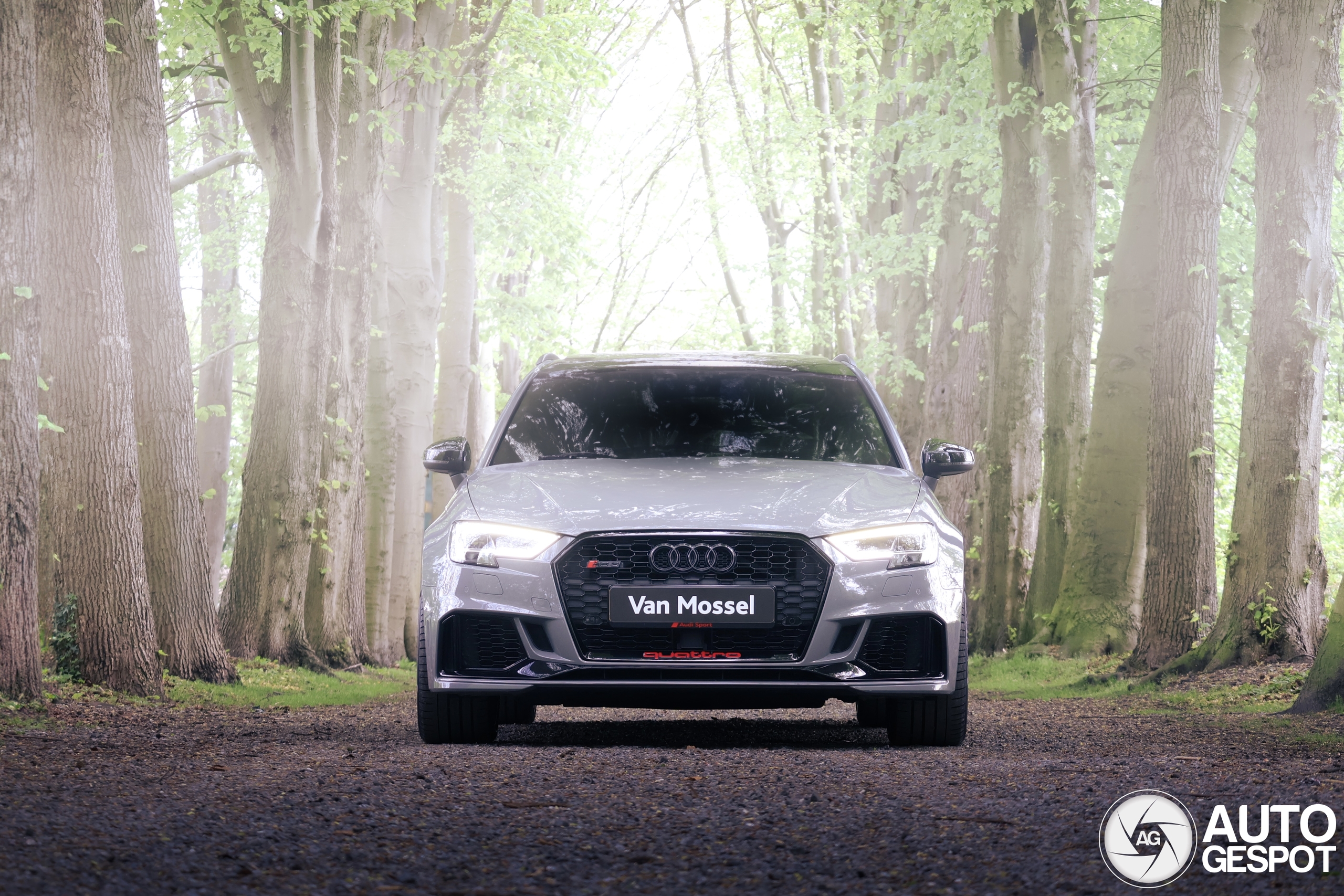 Audi RS3 Sportback 8V 2018