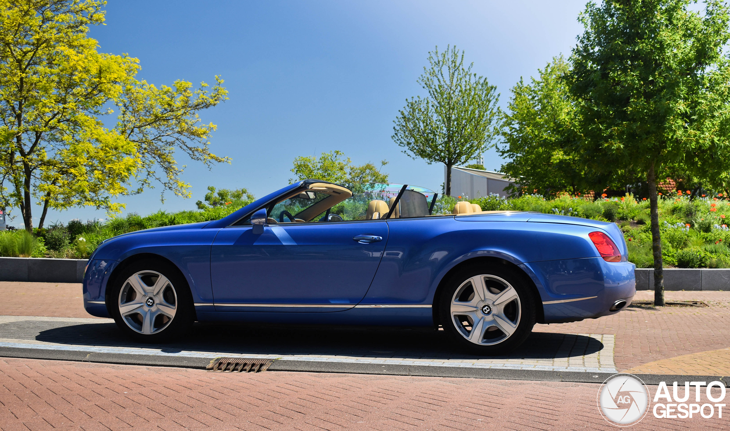 Bentley Continental GTC