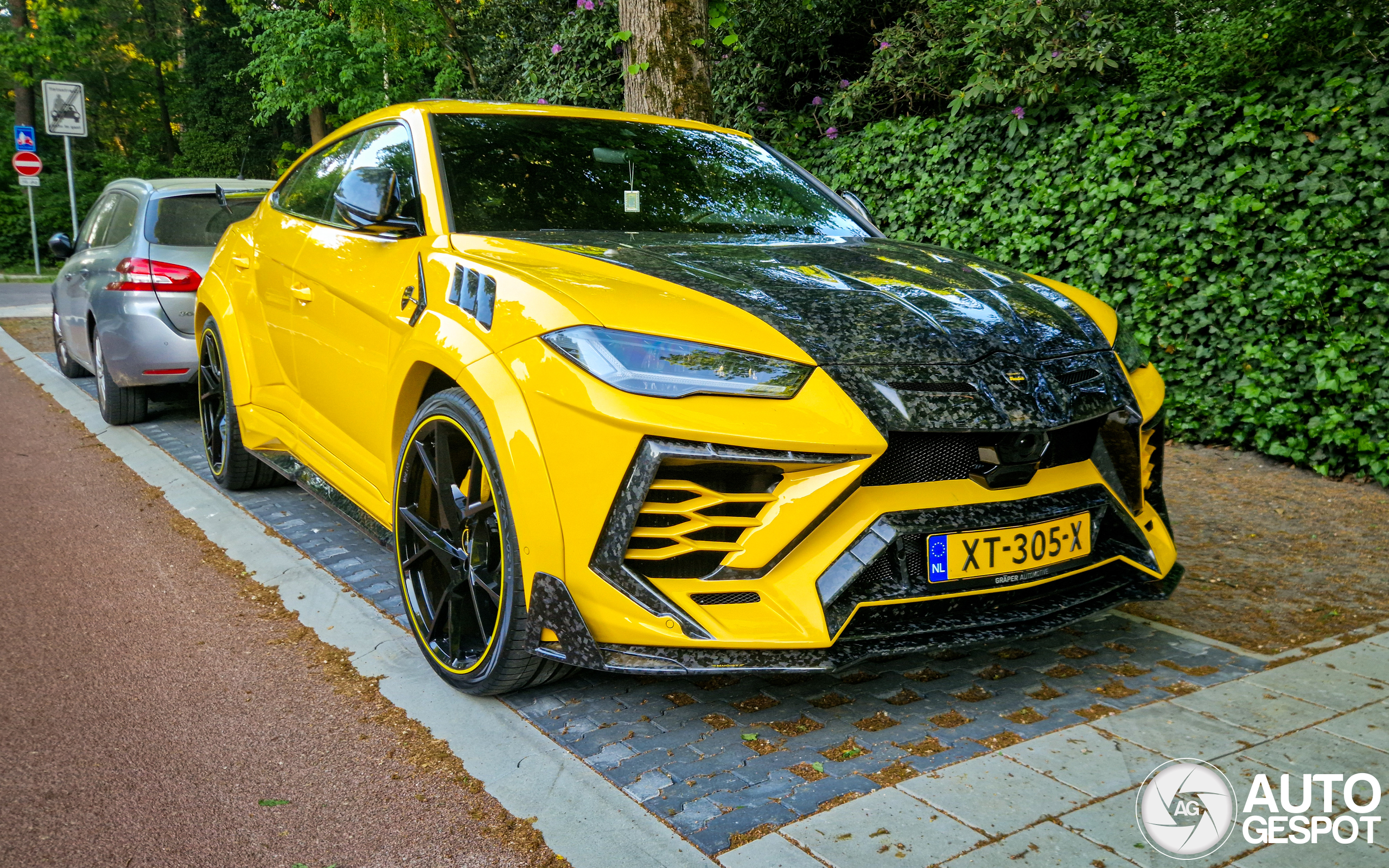 Lamborghini Urus Mansory Venatus