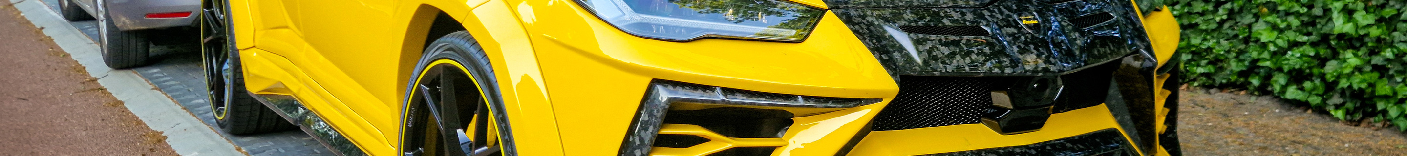 Lamborghini Urus Mansory Venatus