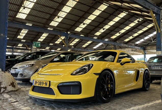 Porsche 981 Cayman GT4