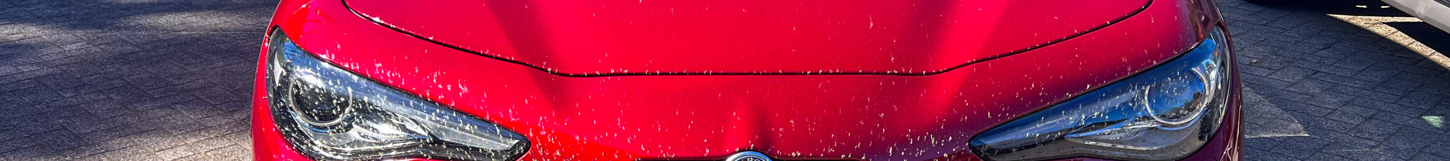 Alfa Romeo Giulia Quadrifoglio