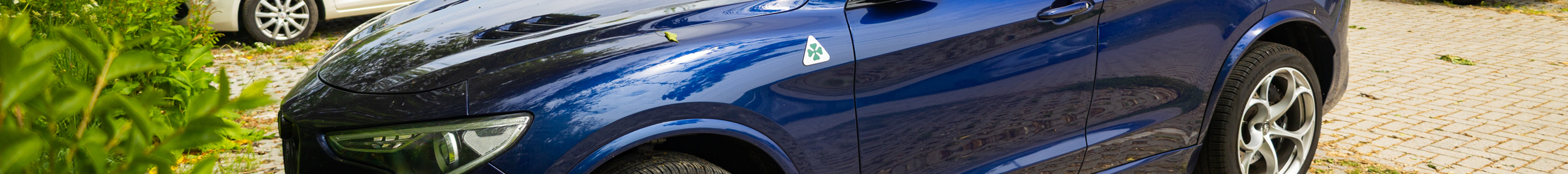 Alfa Romeo Stelvio Quadrifoglio