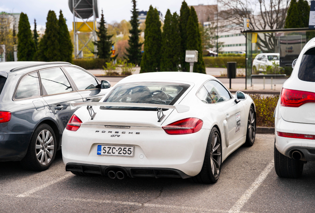 Porsche 981 Cayman GT4