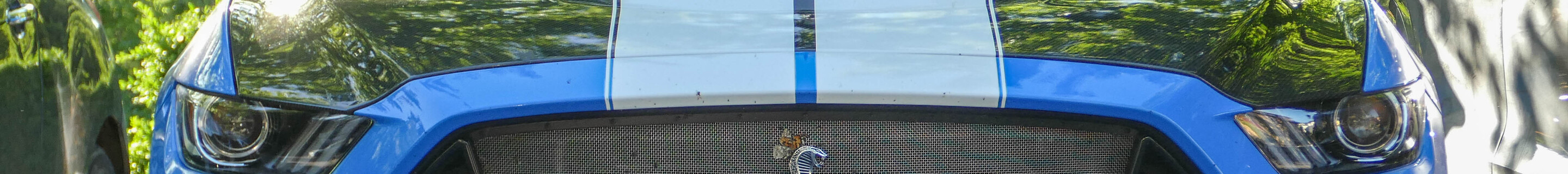 Ford Mustang Shelby GTE 2015