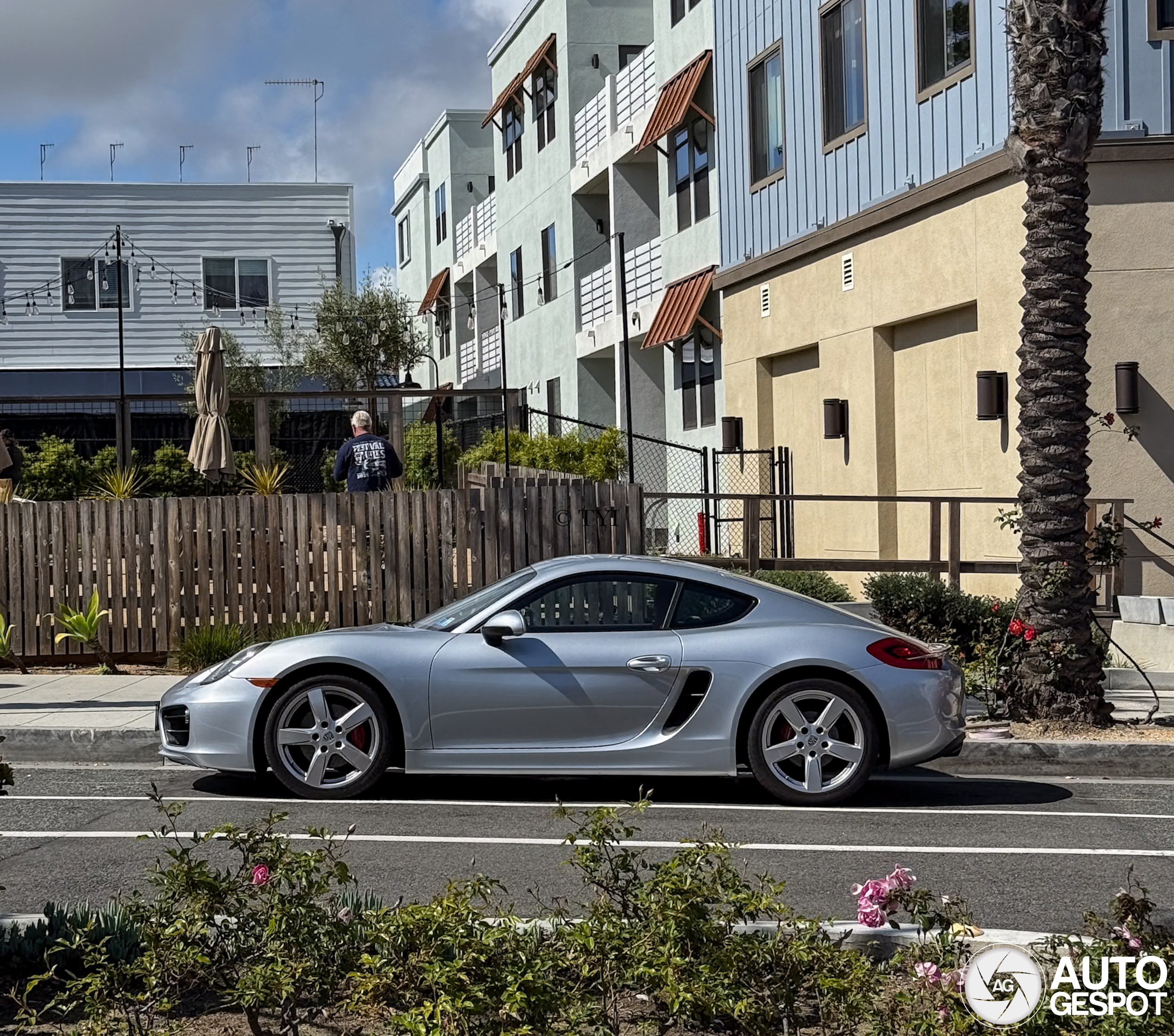 Porsche 981 Cayman S