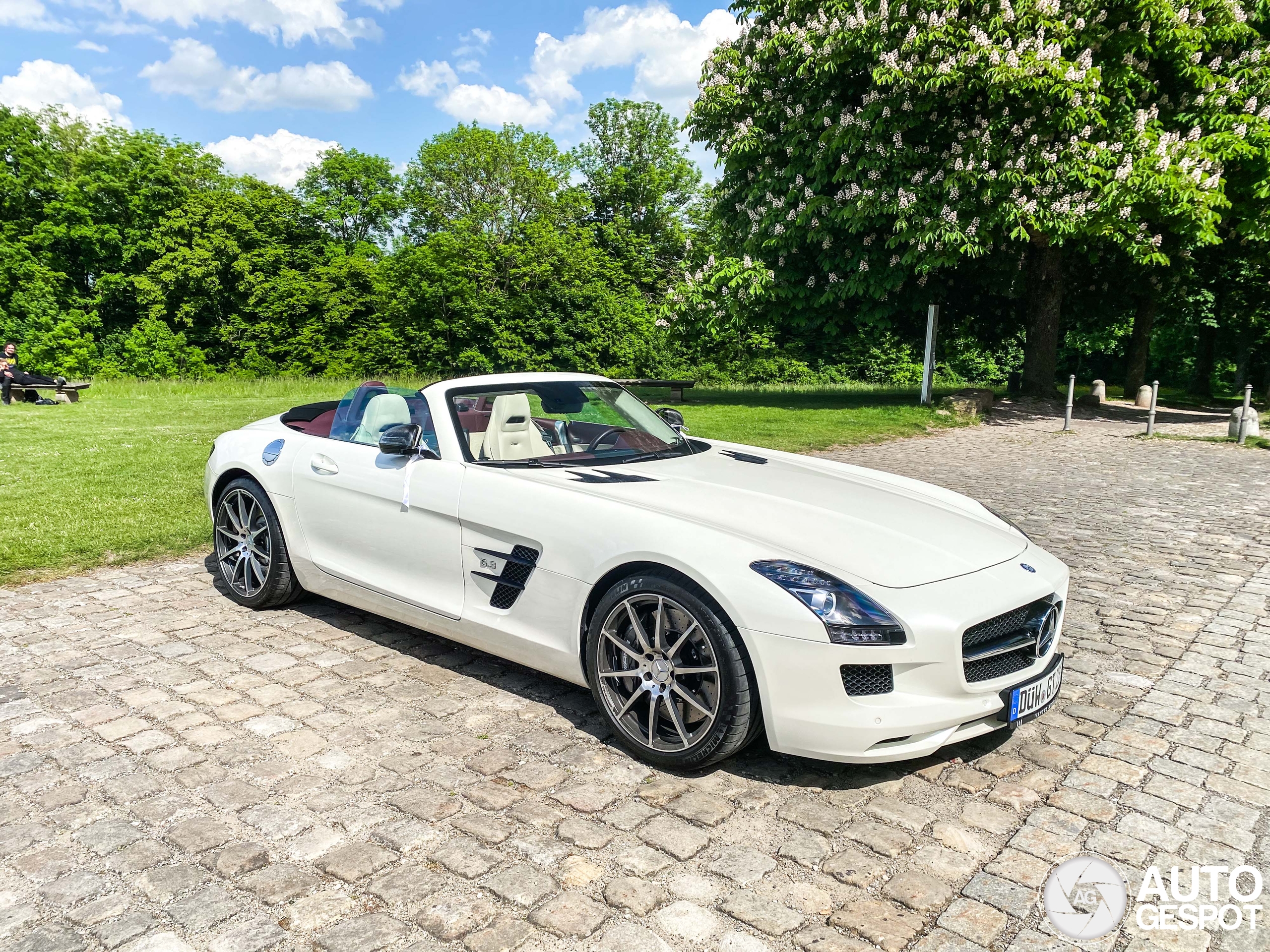Mercedes-Benz SLS AMG GT Roadster
