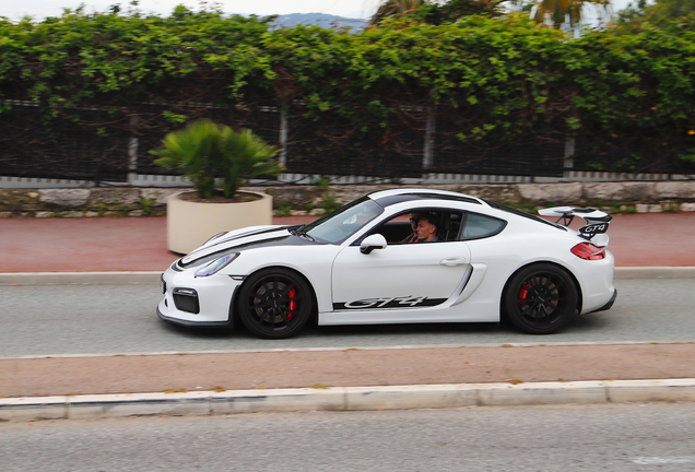 Porsche 981 Cayman GT4