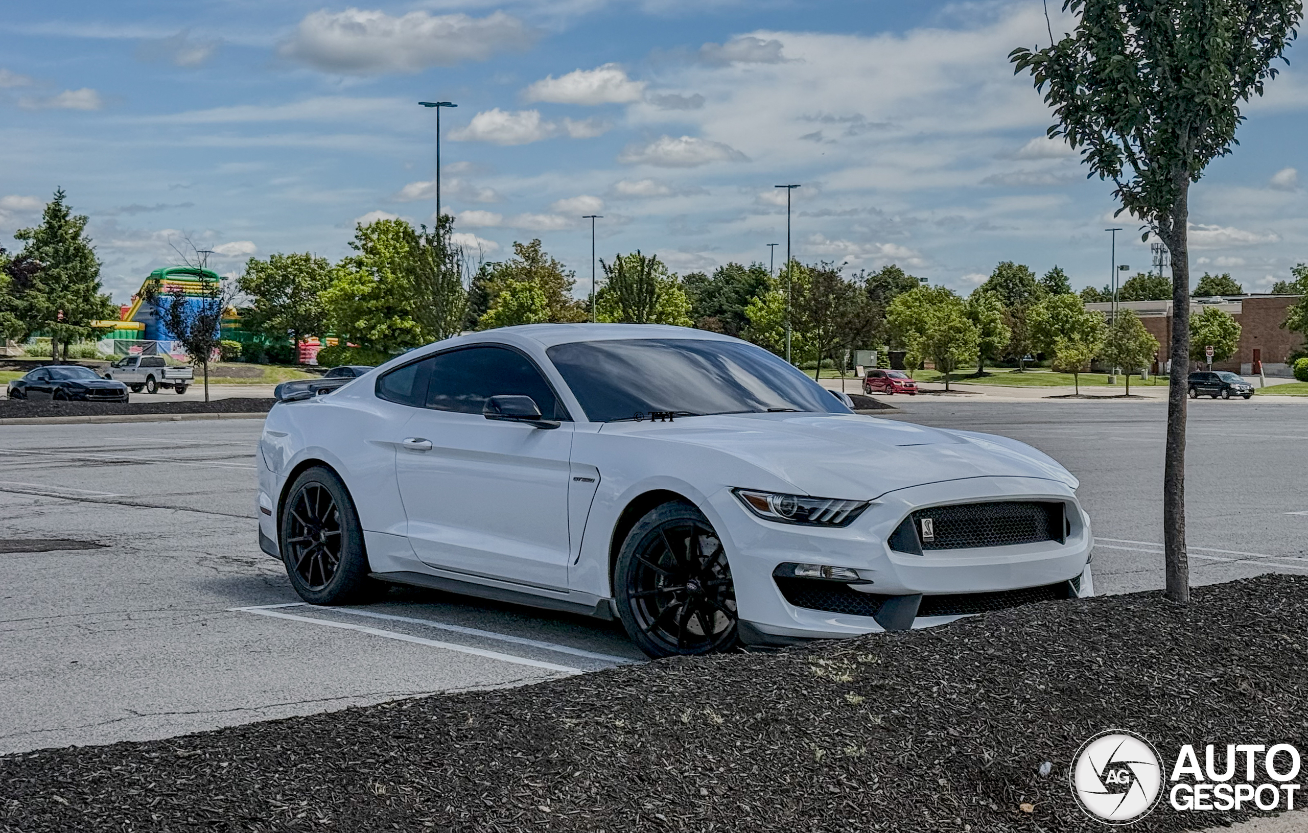 Ford Mustang Shelby GT350 2015