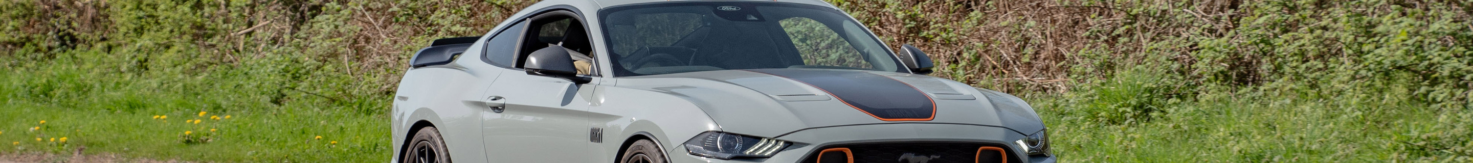 Ford Mustang Mach 1 2021