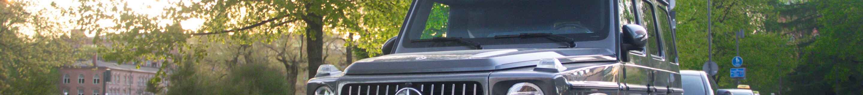Mercedes-AMG G 63 W463 2018