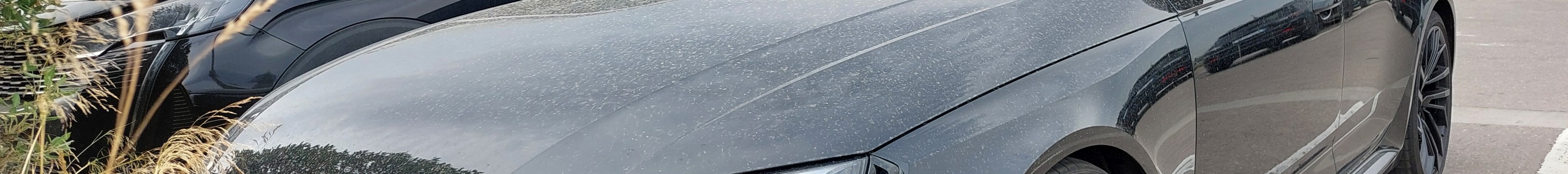 Audi RS4 Avant B9 2020