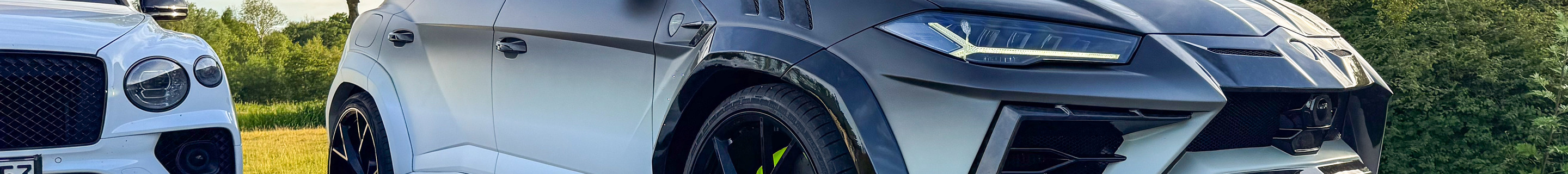 Lamborghini Urus Mansory Venatus