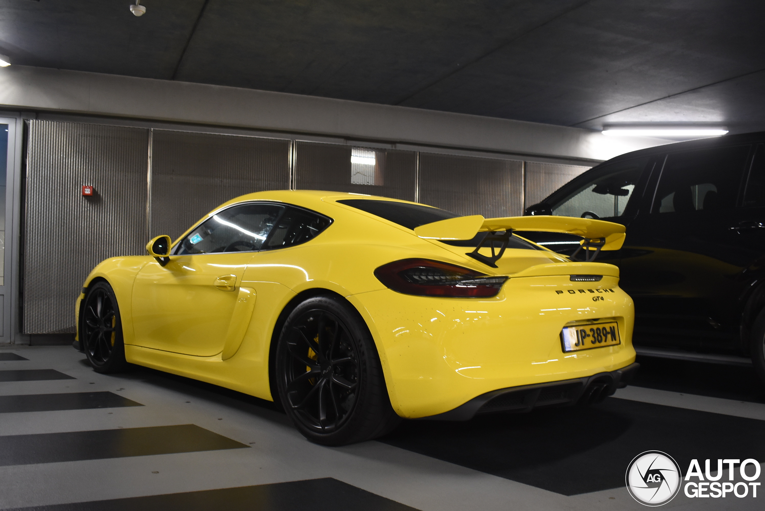 Porsche 981 Cayman GT4