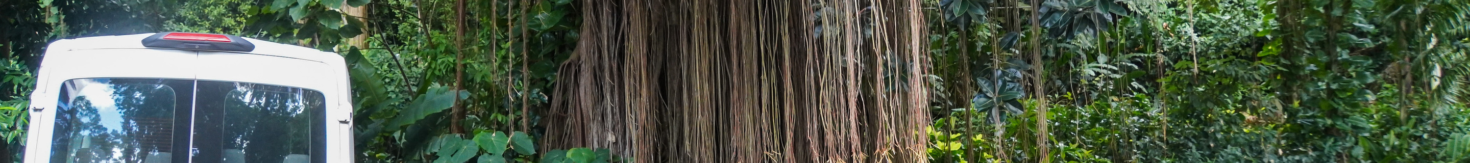 Chevrolet Camaro SS Convertible 2020