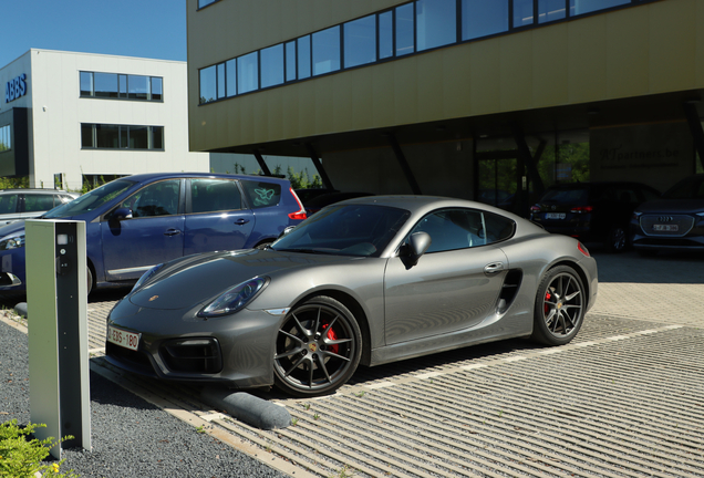 Porsche 981 Cayman GTS