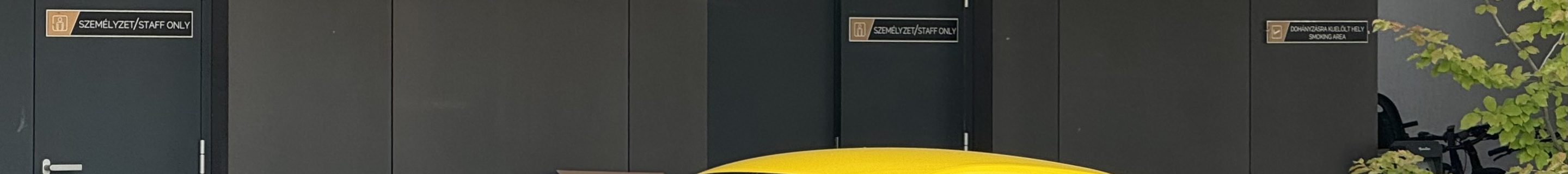 Audi R8 V10 Performance 2019