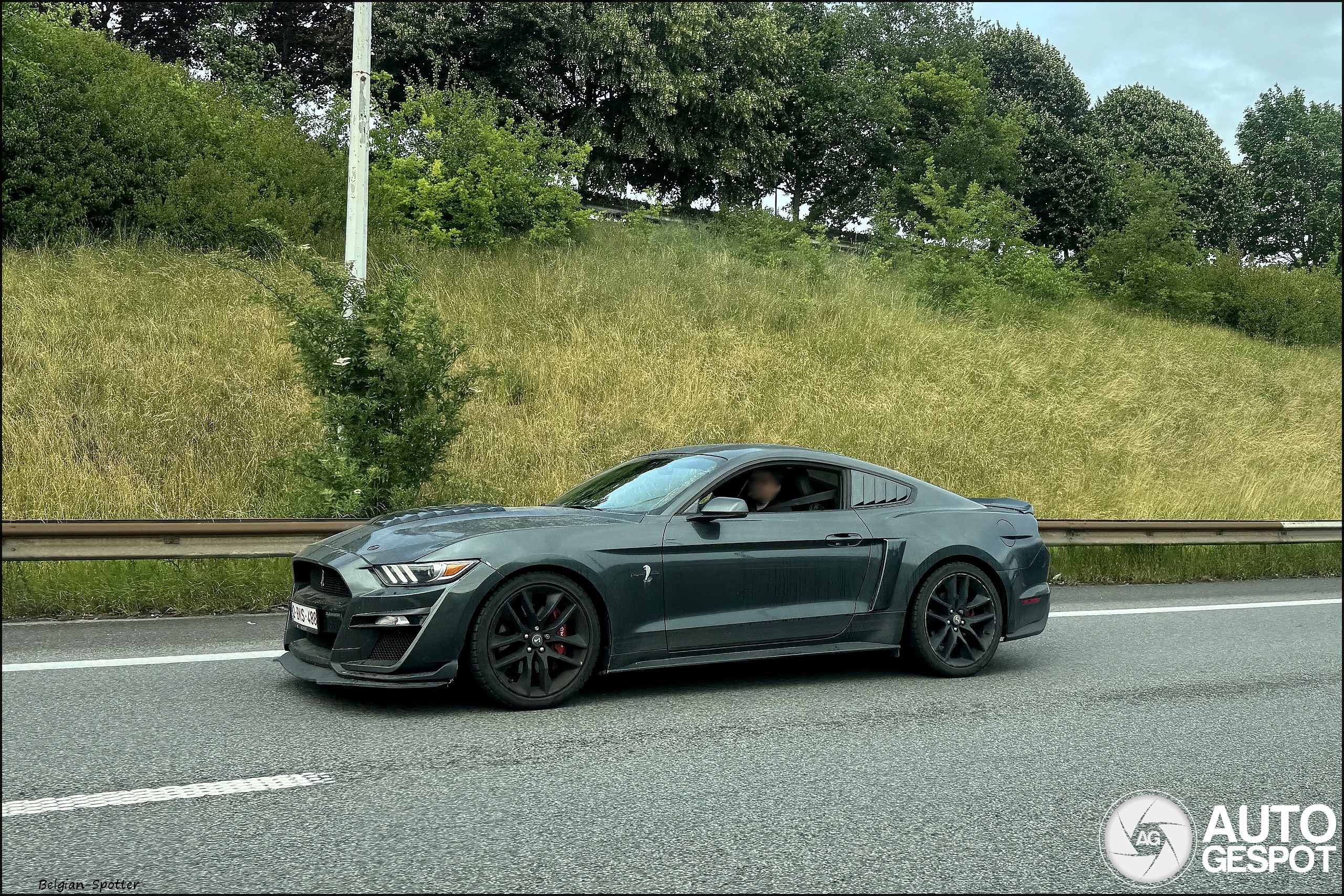 Ford Mustang GT 2015