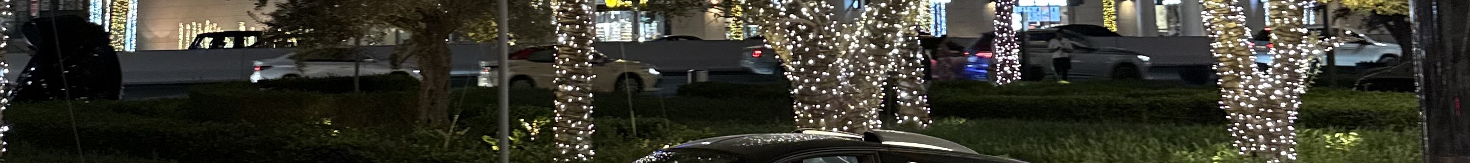 Bugatti Veyron 16.4