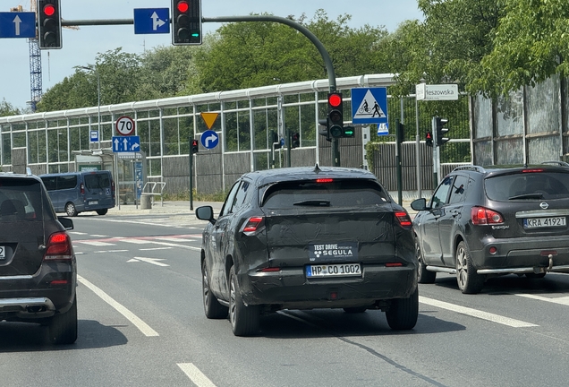 Suzuki E-Vitara