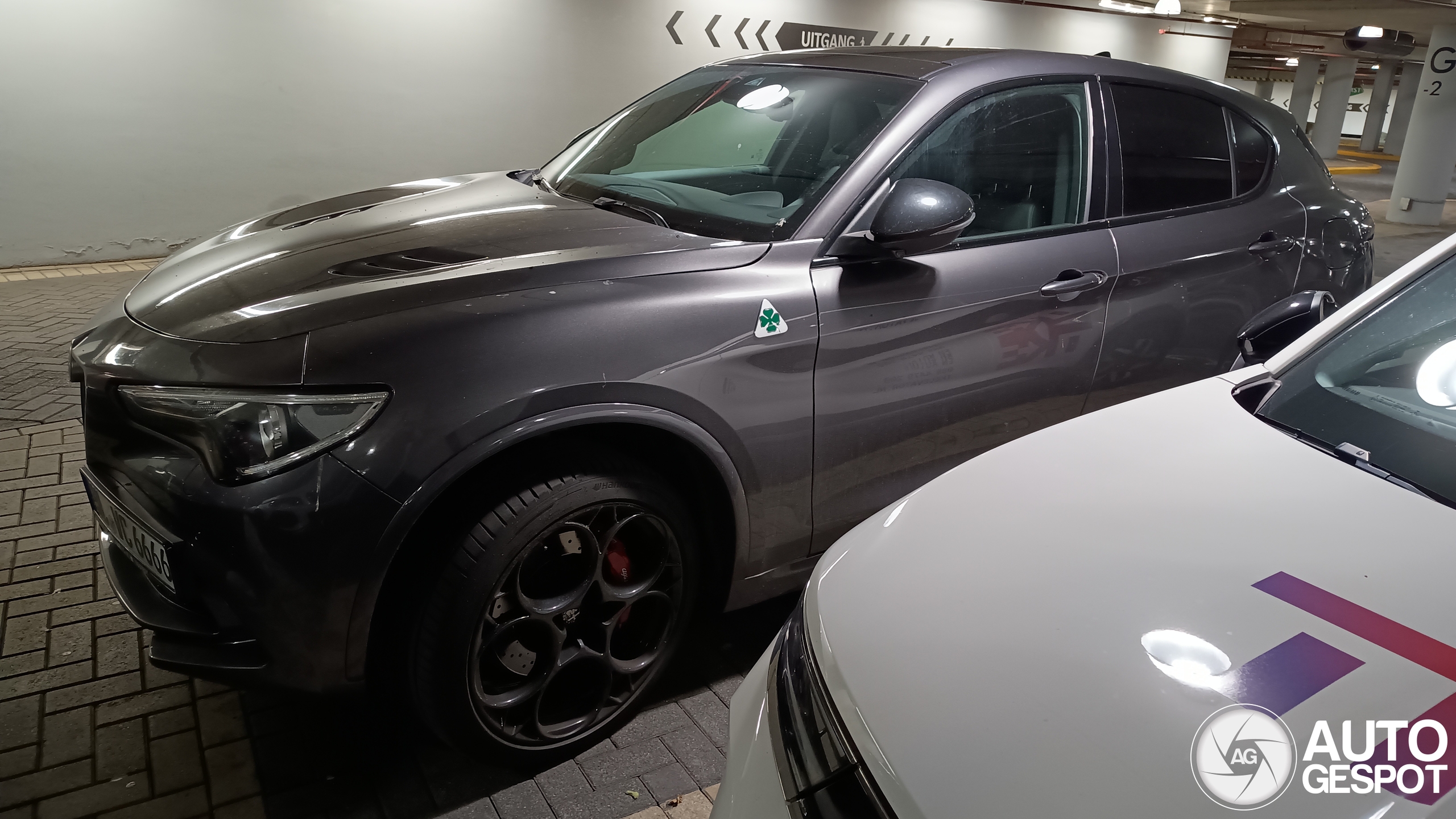 Alfa Romeo Stelvio Quadrifoglio 2020