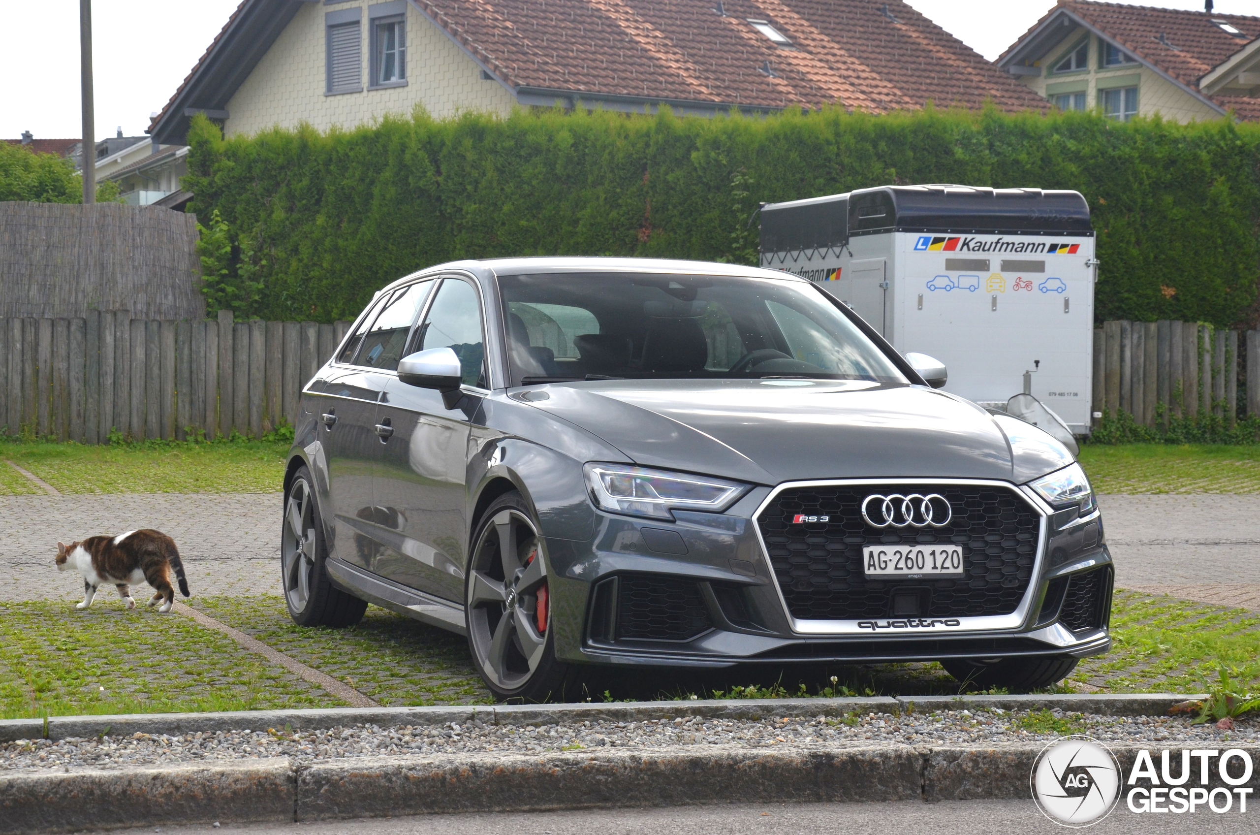 Audi RS3 Sportback 8V 2018