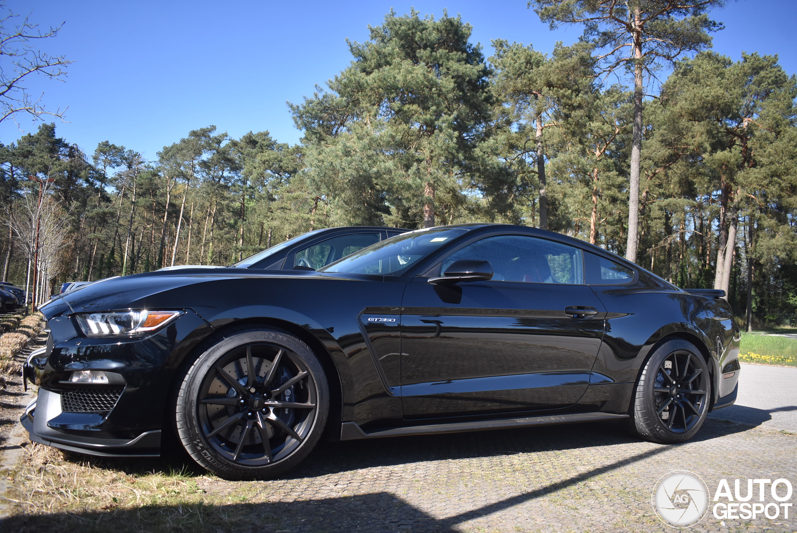 Ford Mustang Shelby GT350 2015